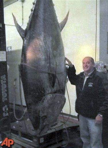 Mass. fishermen snare 881-pound tuna, feds take it - CBS Atlanta 46