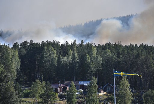 Dozens of wildfires rage in Sweden amid Nordic heat wave