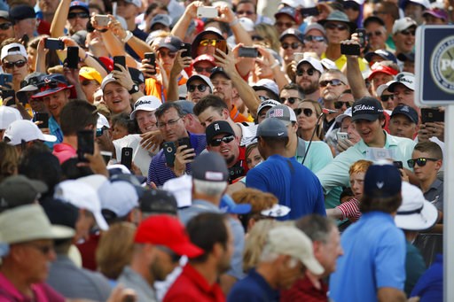 (AP Photo/Charlie Riedel). Fan cheer for Tiger Woods as he walks to the 15th tee during a practice round for the PGA Championship golf tournament at Bellerive Country Club, Wednesday, Aug. 8, 2018, in St. Louis. (AP Photo/Charlie Riedel). Fan cheer for Tiger Woods as he walks to the 15th tee during a practice round for the PGA Championship golf tournament at Bellerive Country Club, Wednesday, Aug. 8, 2018, in St. Louis.