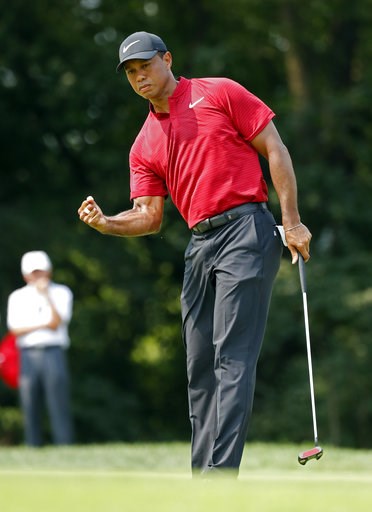 (AP Photo/Brynn Anderson). Tiger Woods reacts to sinking a birdie putt on the ninth green during the final round of the PGA Championship golf tournament at Bellerive Country Club, Sunday, Aug. 12, 2018, in St. Louis. (AP Photo/Brynn Anderson). Tiger Woods reacts to sinking a birdie putt on the ninth green during the final round of the PGA Championship golf tournament at Bellerive Country Club, Sunday, Aug. 12, 2018, in St. Louis.