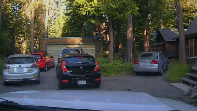 California deputy shoots into car to free trapped bear