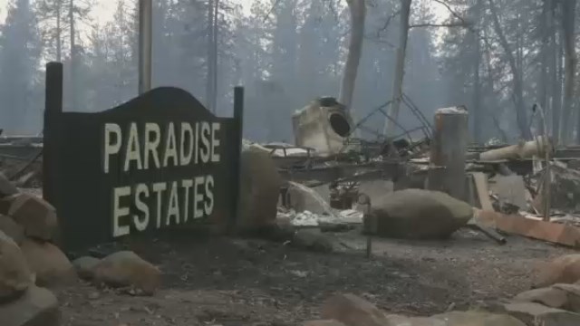 Grim calculus: Coroners search for those killed in wildfire