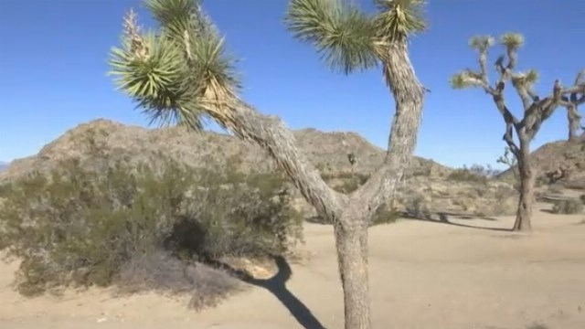 National parks struggle to stay open, safe during shutdown