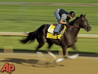 5 horses to watch in Saturday's Kentucky Derby - KTVN Channel 2 ...