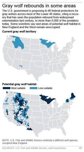 Maps show the current population and potential habitat for Gray wolves in North America