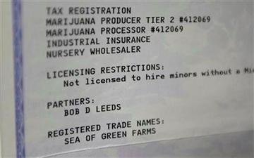(AP Photo/Ted S. Warren). This June 25, 2014, photo shows the Washington state business license for marijuana grower Sea of Green Farms at the establishment in Seattle. (AP Photo/Ted S. Warren). This June 25, 2014, photo shows the Washington state business license for marijuana grower Sea of Green Farms at the establishment in Seattle.