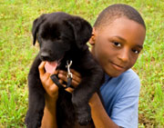 Veterinarians say with training (and teaching), the risk of a dog bite can be reduced. (©iStockphoto.com/Eileen Hart)