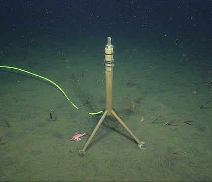 Wonder what the bottom of the ocean sounds like? Check out this livestream