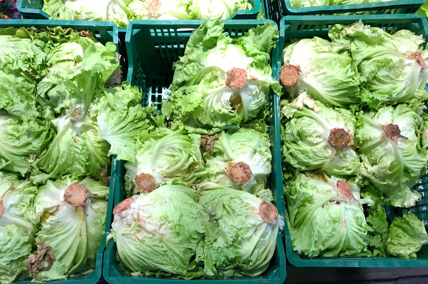 Ditch All Romaine Lettuce And Check Your Eggs A Bad Month For KXXV 