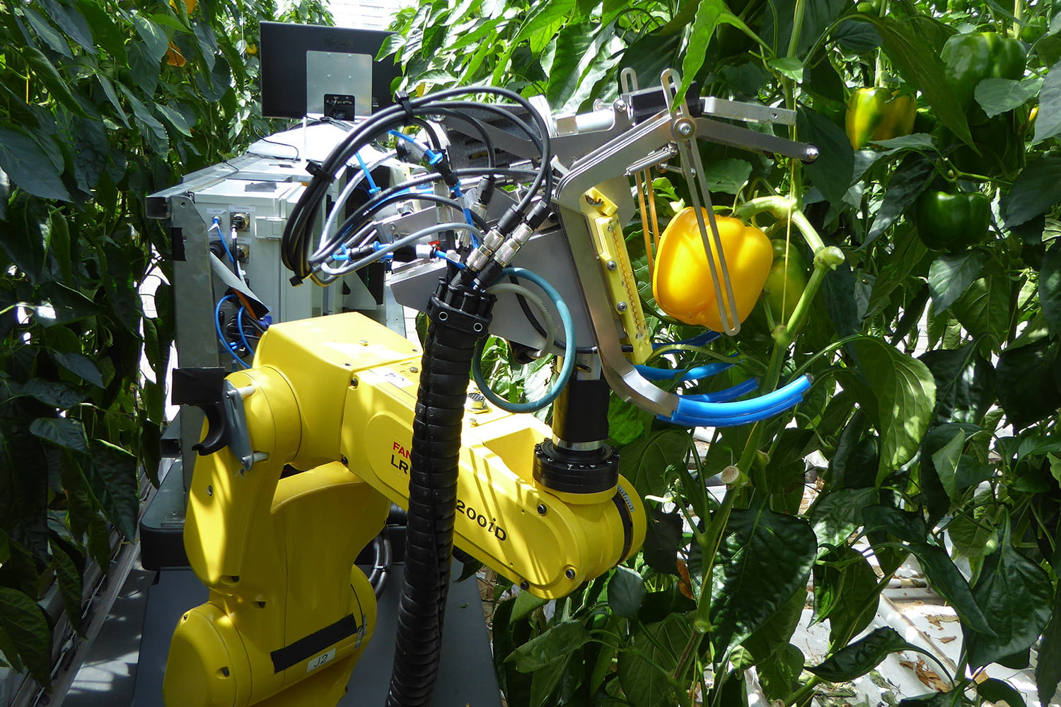 From picking to pollinating, agribots are pushing farming into the future