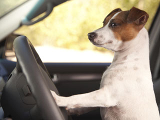 © iStockphoto / Thinkstock © iStockphoto / Thinkstock