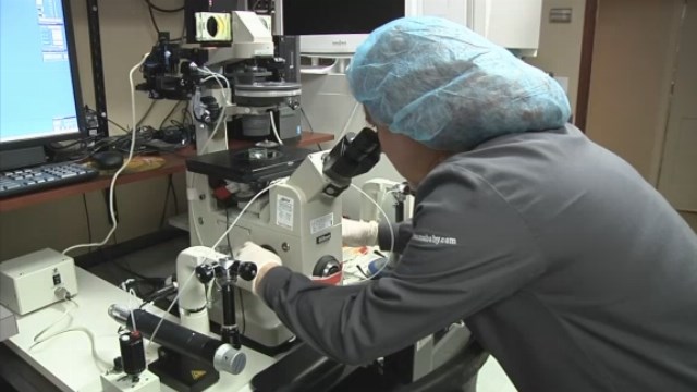 Life in limbo: Leftover embryos vex clinics, couples