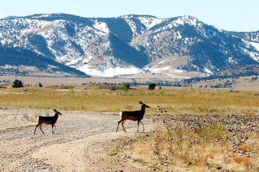 Former Colorado nuke site opens to public as wildlife refuge