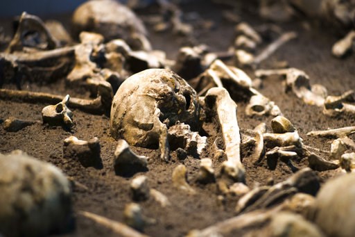 Ancient treasures on show in Germany reveal turbulent past