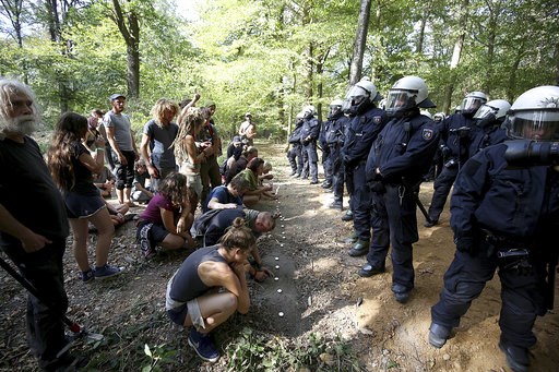 German energy company: saving threatened forest 'illusion'