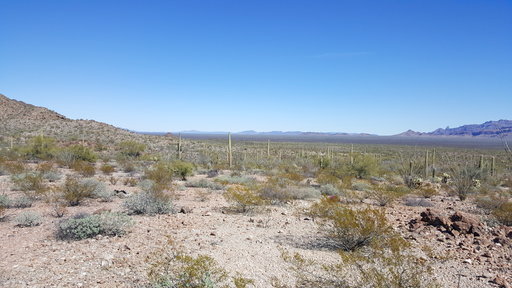 (Tucson Sector Border Patrol via AP). This undated image provided by Tucson Sector Border Patrol shows the desert terrain close to Arizona's boundary with Mexico near Lukeville, Ariz. Large groups of Guatemalan and other Central American migrants have ... (Tucson Sector Border Patrol via AP). This undated image provided by Tucson Sector Border Patrol shows the desert terrain close to Arizona's boundary with Mexico near Lukeville, Ariz. Large groups of Guatemalan and other Central American migrants have ...