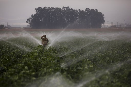 People priced out of Salinas, California, look to the ballot