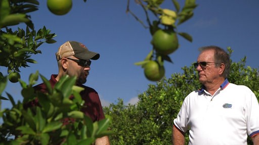 Next generation of biotech food heading for grocery stores