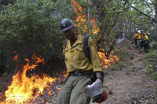 As wildfires grow deadlier, officials search for solutions