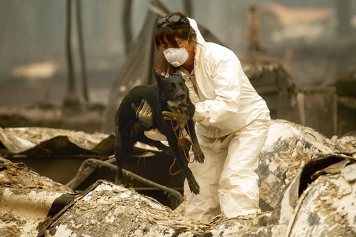 Staggered evacuation plan questioned in fire's aftermath
