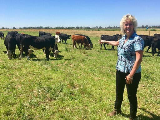 Farm animals may soon get new features through gene editing