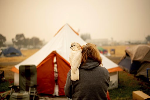 Fire refugees camp in Walmart parking lot amid uncertainty