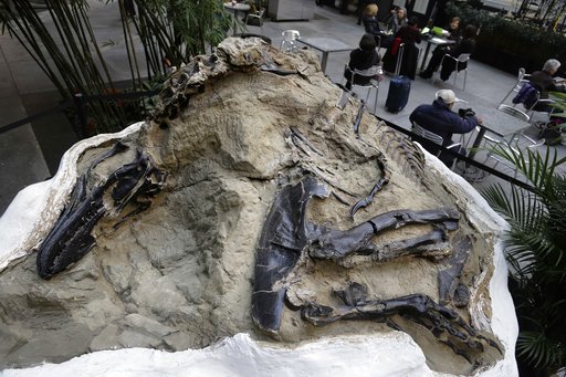 Fight over dinosaur fossils comes down to what's a mineral