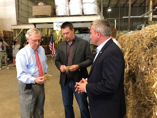 (AP Photo/Bruce Schreiner, File). FILE - In a Thursday, July 5, 2018 file photo, Senate Majority Leader Mitch McConnell, left, inspects a piece of hemp taken from a bale of hemp at a processing plant in Louisville, Ky. McConnell has guaranteed that his...