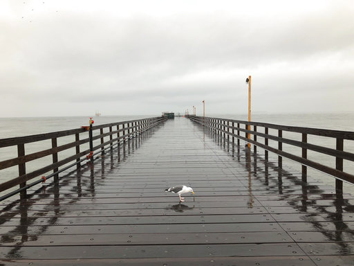 (AP Photo/Michael R. Blood). A lone seagull stands in the rain on the Seal Beach Pier on Thursday, Dec. 6, 2018 in Seal Beach, Calif. The second round of a fall storm dumped snow and rain that jammed traffic on Southern California highways and loosened... (AP Photo/Michael R. Blood). A lone seagull stands in the rain on the Seal Beach Pier on Thursday, Dec. 6, 2018 in Seal Beach, Calif. The second round of a fall storm dumped snow and rain that jammed traffic on Southern California highways and loosened...