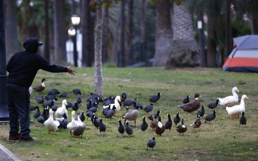 (AP Photo/Damian Dovarganes). A person feeds birds in Echo Park under a light rain in Los Angeles Wednesday, Dec. 5, 2018. A fall storm is causing slick conditions on Southern California freeways but isn't expected to generate enough rain to trigger mu... (AP Photo/Damian Dovarganes). A person feeds birds in Echo Park under a light rain in Los Angeles Wednesday, Dec. 5, 2018. A fall storm is causing slick conditions on Southern California freeways but isn't expected to generate enough rain to trigger mu...