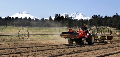 With OK from Congress, US hemp market set to boom