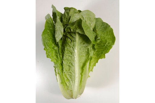Source of fall romaine outbreak a mystery, US regulators say