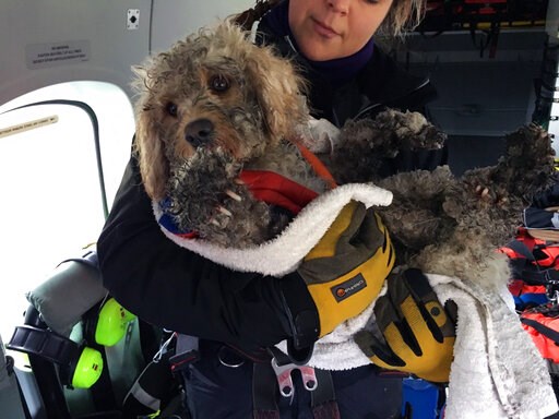 (Maritime & Coastguard Agency via AP). In this image provided by the Maritime & Coastguard Agency, winchman Kate Willoughby holds Ben the dog after he was rescued in the Cairngorms in Inverness, Scotland, Wednesday, March 13, 2019. It was a rou...