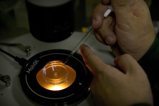 Scientists back temporary global ban on gene-edited babies
