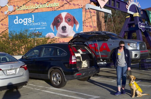 Exhibit explores keen senses, abilities of man's best friend