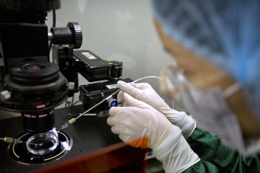 UN: Gene editing for human reproduction is 'irresponsible'