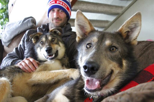 Iditarod competitor whose dogs quit says they got spooked