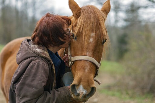 (AP Photo/Craig Hudson). In this Friday, April 5, 2019, photo, Kelly Povroznik kisses her horse Rambling Jack goodbye after having tended to him and her other horse Blackjack at their pasture outside of Clarksburg, W.Va. Povroznik teaches an online col... (AP Photo/Craig Hudson). In this Friday, April 5, 2019, photo, Kelly Povroznik kisses her horse Rambling Jack goodbye after having tended to him and her other horse Blackjack at their pasture outside of Clarksburg, W.Va. Povroznik teaches an online col...
