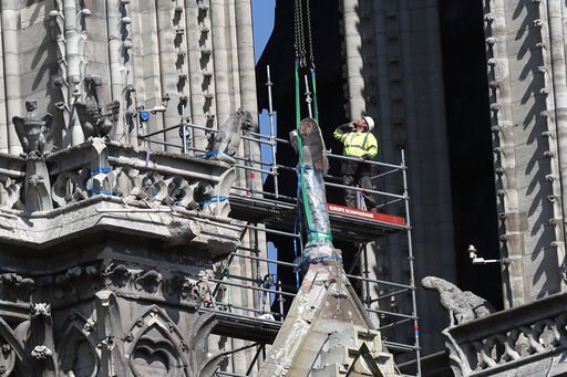 Drunk on smoke: Notre Dame's bees survive cathedral blaze