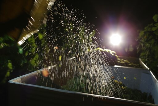 California to ban pesticide it says hurts babies' brains