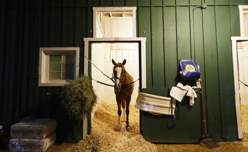 War of Will wins Preakness featuring riderless running horse