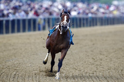 Horsing around: Riderless colt races to Preakness finish