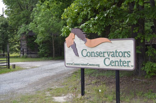 Family of woman mauled by lion pushes for new regulations
