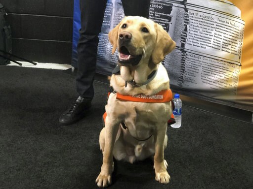 The Latest: Sunny the dog stars at Cup Final media day