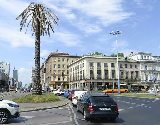 (AP Photo/Czarek Sokolowski). this Thursday, June 6, 2019, photo shows a plastic palm tree that is one of the artistic symbols of Warsaw, Poland. The popular tree’s leaves had turned gray and were drooping by the installation’s authors to mark U.N. Wor...